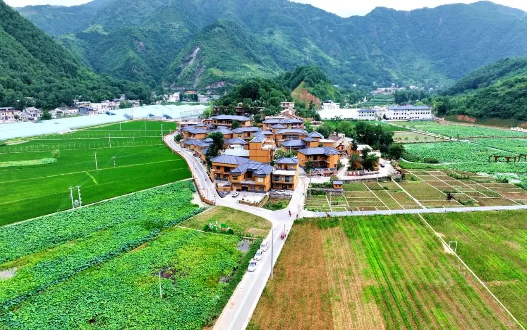 喜讯！​商洛多地上榜首届陕西魅力休闲乡村、田园名单