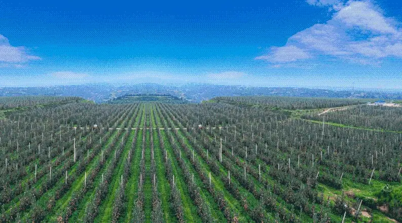 陕西认定首批省级农村产业融合发展示范园，铜川入选2个