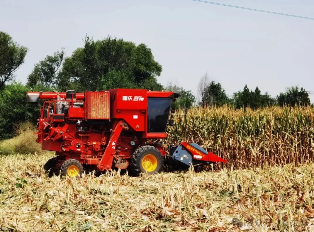 渭南市秋粮收获面积已收八成以上