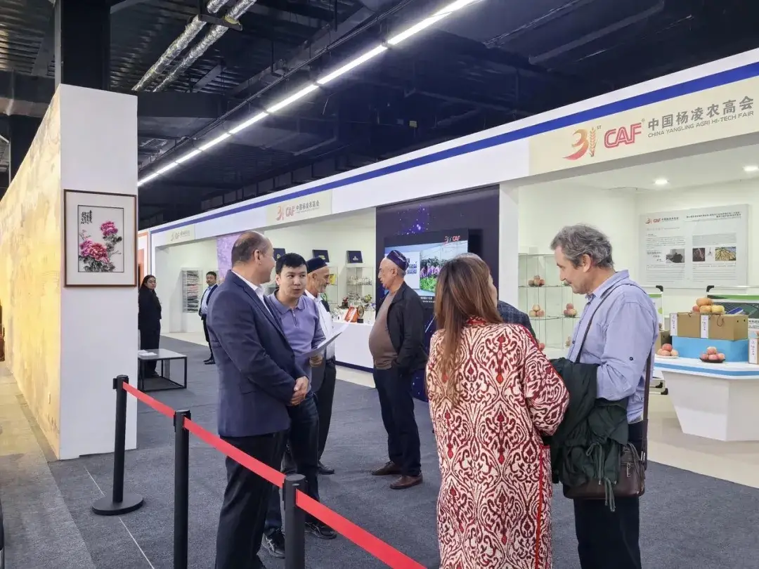 第31届杨凌农高会海外展在乌兹别克斯坦塔什干开展