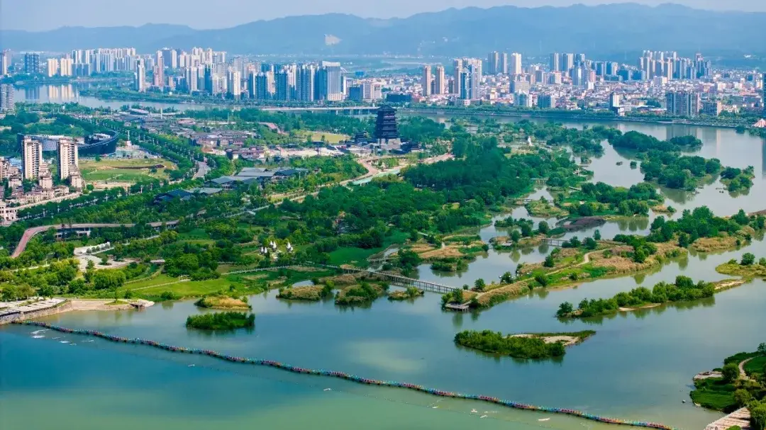 揭秘“与辉同行”和汉中双向奔赴背后的故事