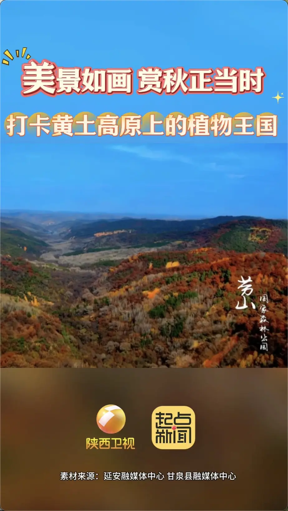 绝美！黄土高原上的植物王国秋意尽染