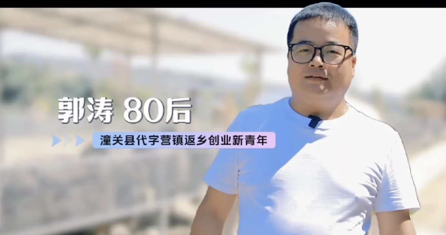 走进潼关县，探寻那片不负山河的奇妙之地