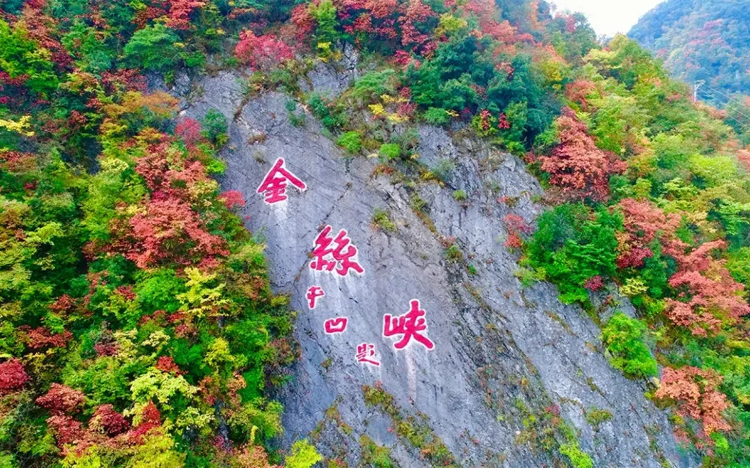 正在上传...