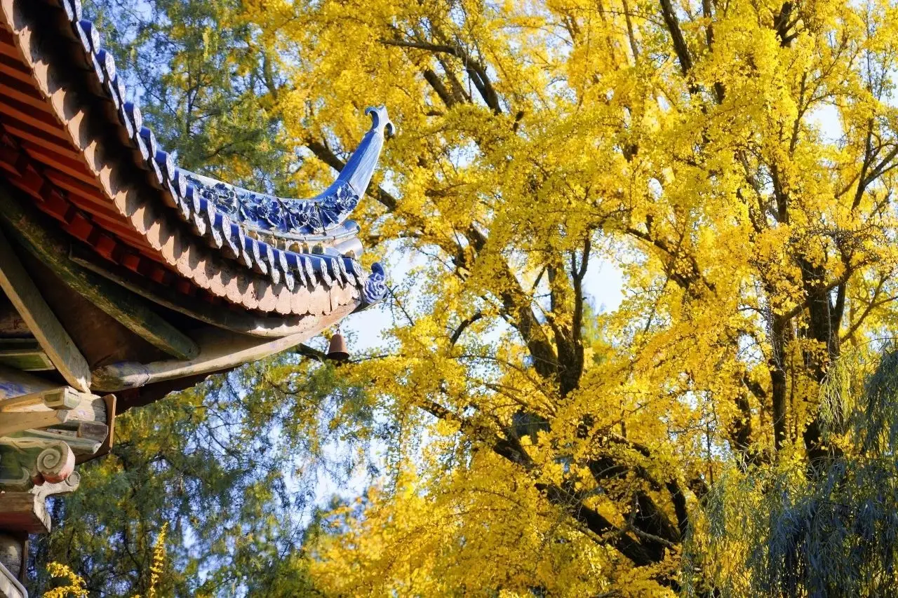 当汉中古镇遇上“中国色”，真的太惊艳了！