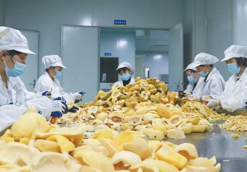 一颗木瓜的“变身记”