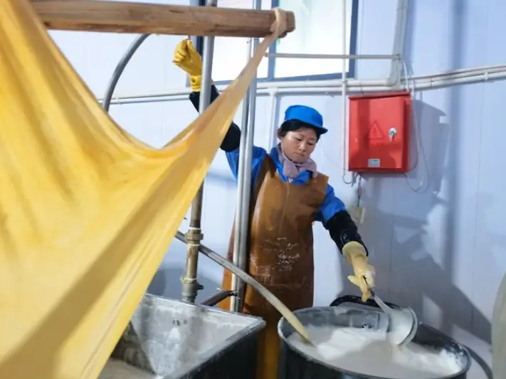 揭秘渭北“豆腐第一村”：小豆腐如何做成大产业？