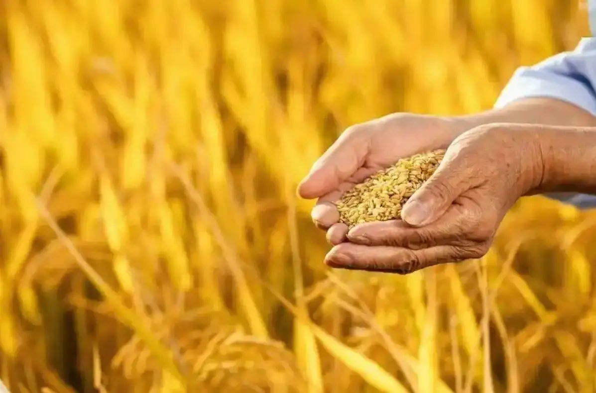 注册资本100亿，陕西农发集团落户杨凌！