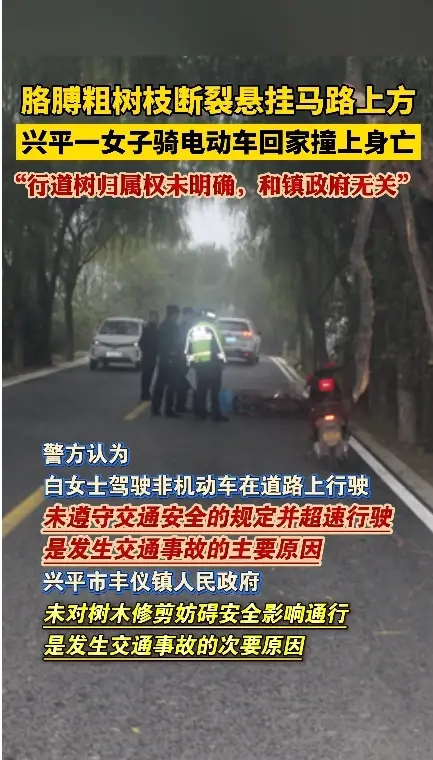 胳膊粗树枝断裂悬挂马路上方，兴平一女子骑电动车回家撞上身亡