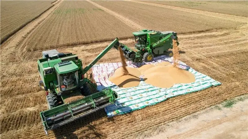 渭南粮食年产量突破260万吨，连续五年全省第一