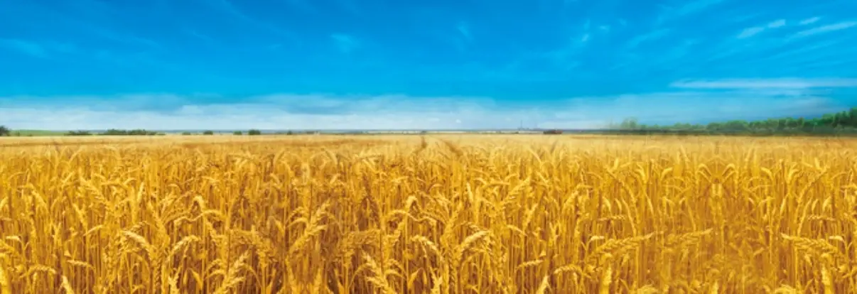 渭南四县（区）被认定为第三批陕西省现代农业全产业链典型县