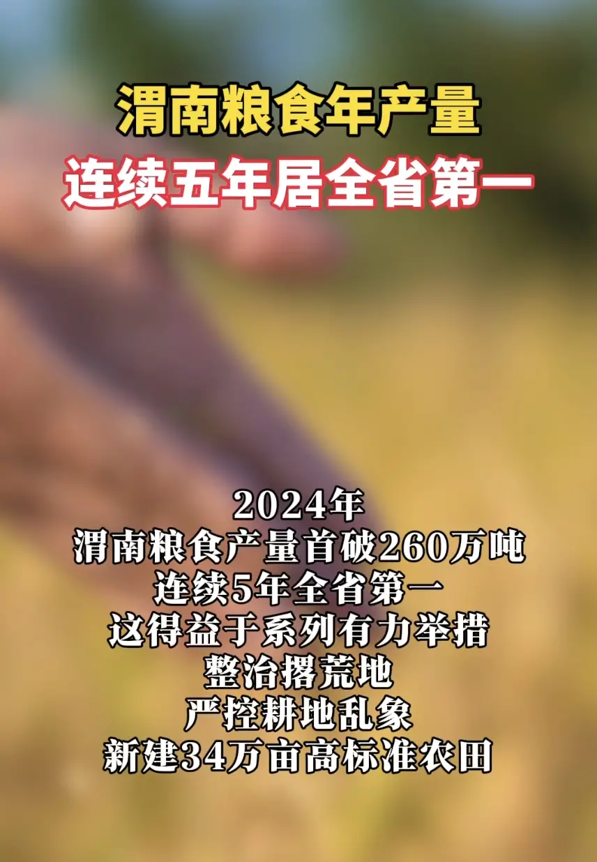 渭南粮食年产量连续五年居全省第一