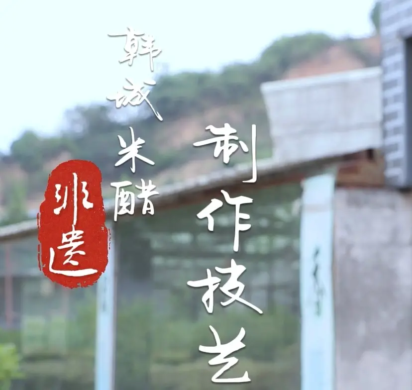 【韩城非遗·古韵新生】韩城米醋制作技艺：以初心匠心酿造“时光味道”