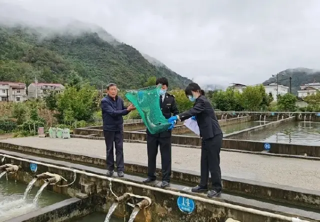 汉中活鱼首次出口柬埔寨