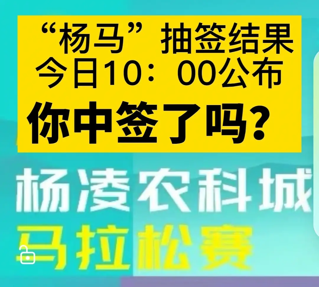 2025“杨马”抽签结果公布！你中签了吗？