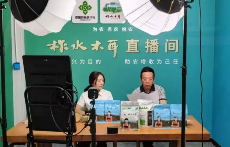 陕西唯一！柞水县获评全国首批“农村电商领跑县”