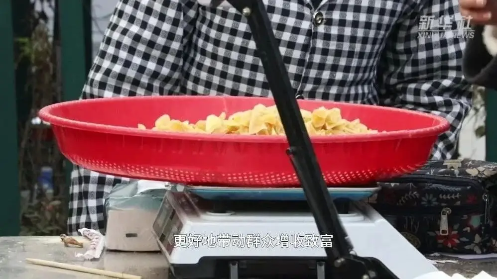 蛇年新春，到秦巴山区看看农村新图景