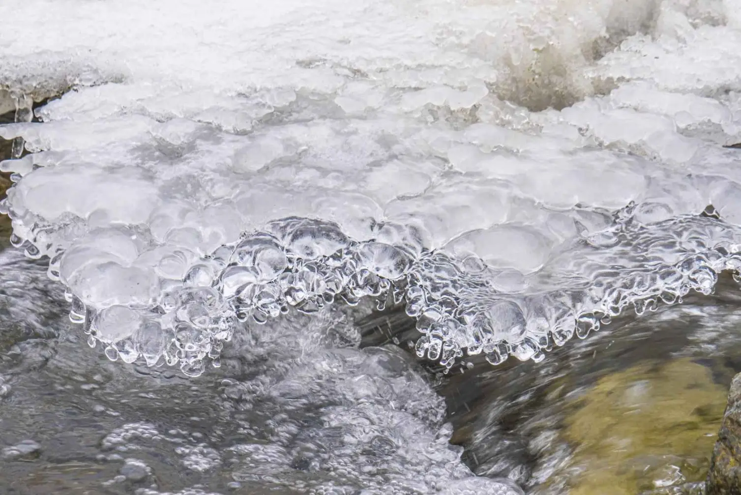 春节期间黄河渭南段凌情整体平稳