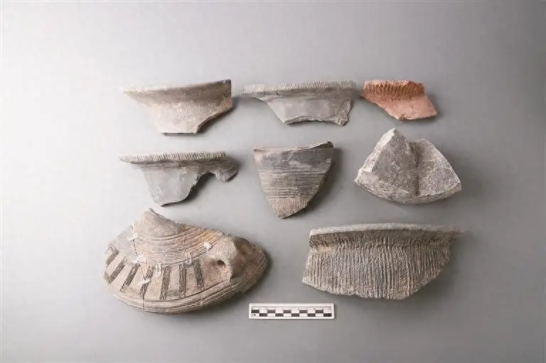 陕西考古新发现：魏家村遗址填补兴平商周文化空白