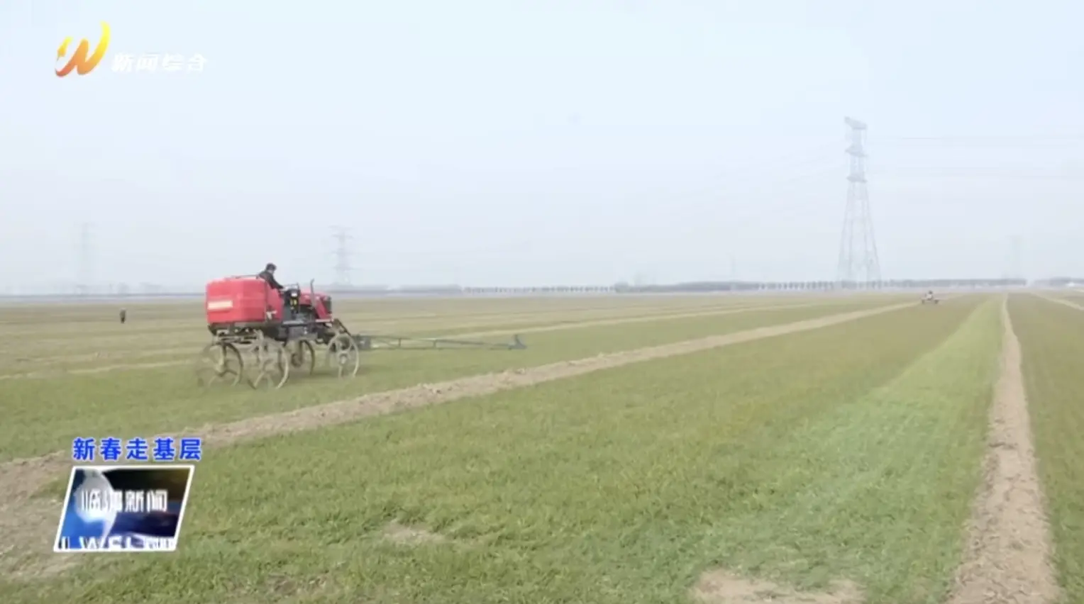 临渭区故市镇：麦苗“喝饱”水丰产有希望