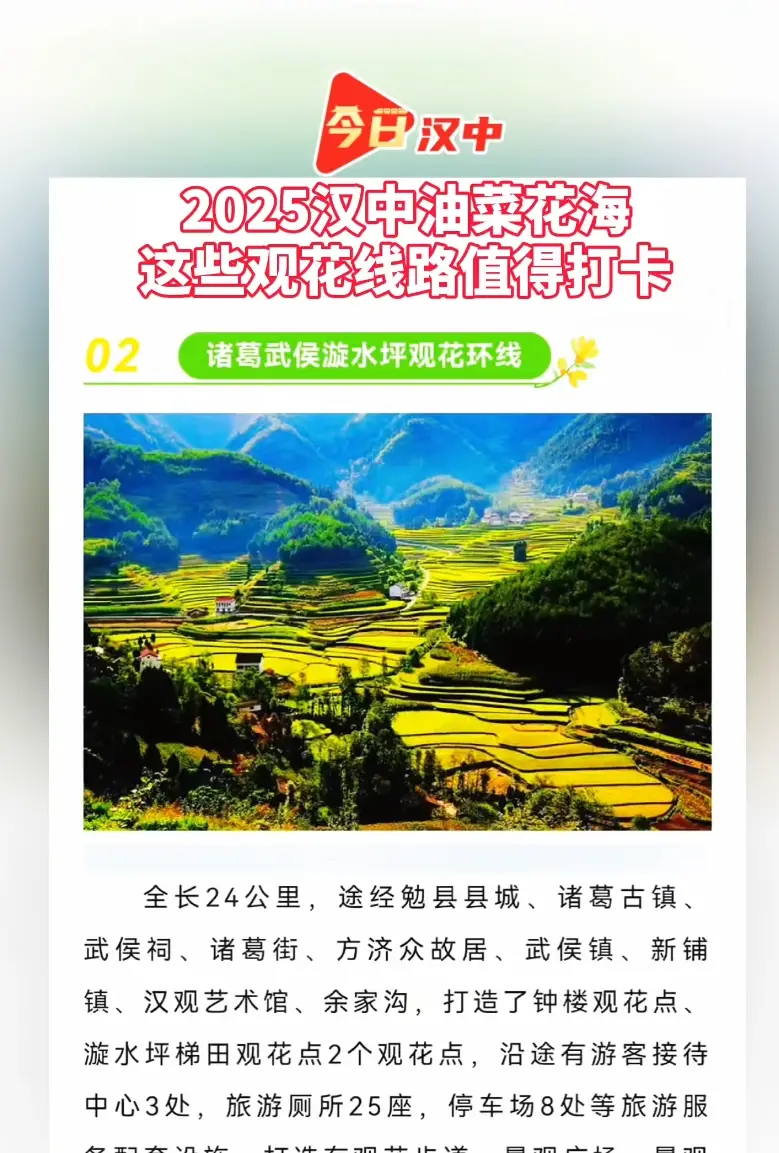 今日汉中|2025汉中油菜花海，这些观花线路值得打卡