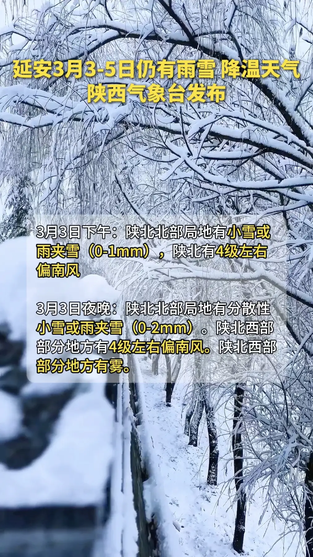 延安3月3-5日仍有雨雪、降温天气，陕西气象台发布
