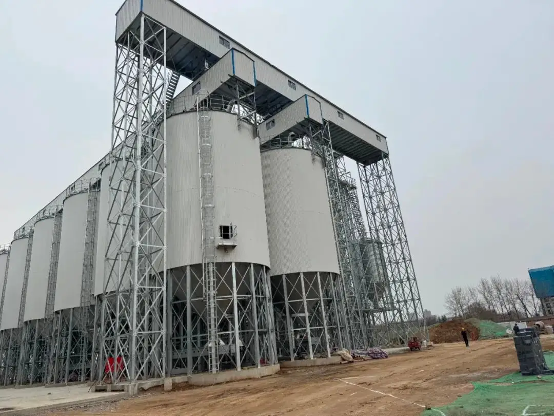 西北地区投资规模最大的种业设施基础项目今年4月将在杨凌建成