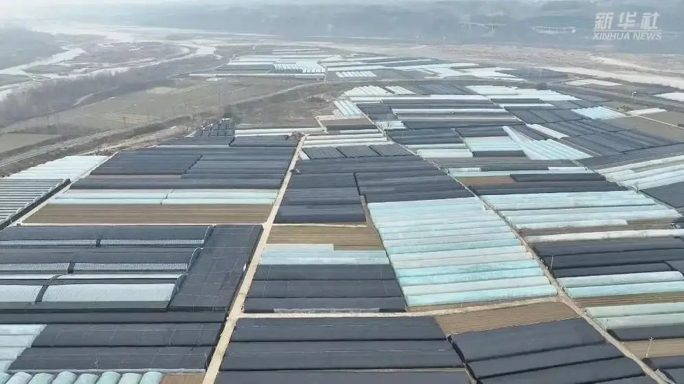 汉中：智慧生产遍田野，保障丰产又丰收