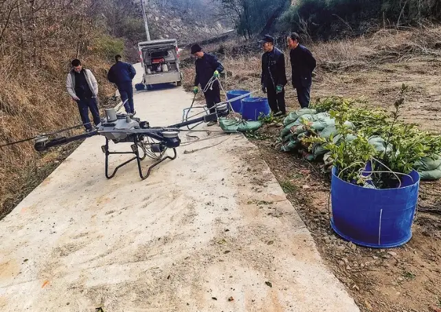 在商南山地上，无人机成了农田里的“新农具”