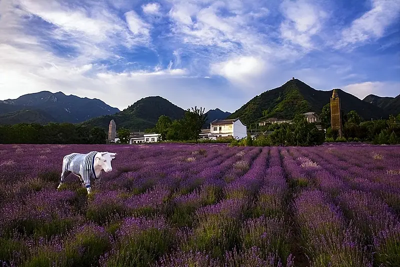 3条家门口的宝藏乡村旅游线路，承包你的春季松弛感