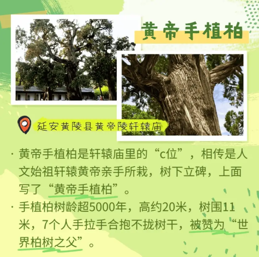 正在上传...