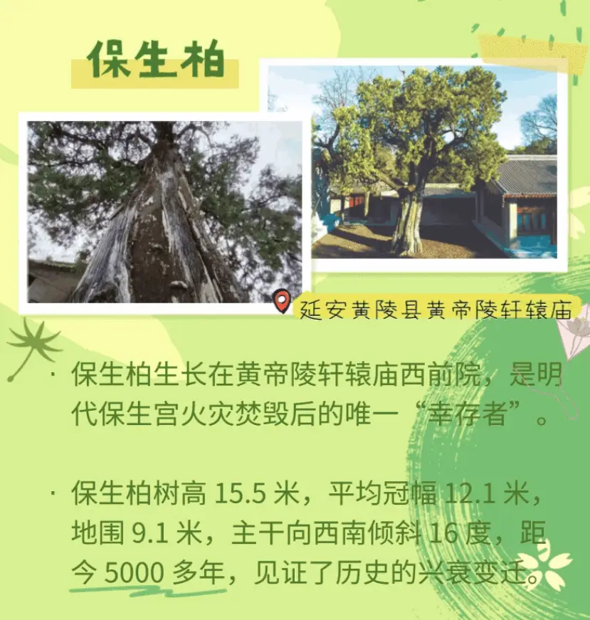 正在上传...