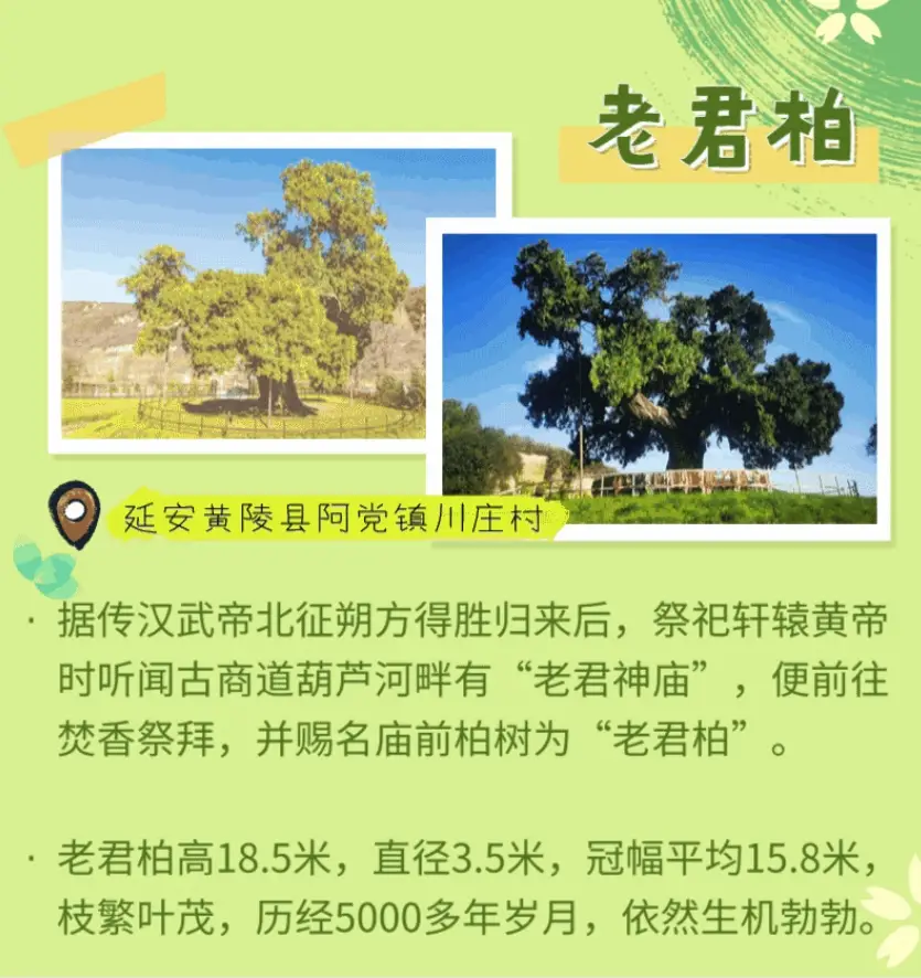 正在上传...