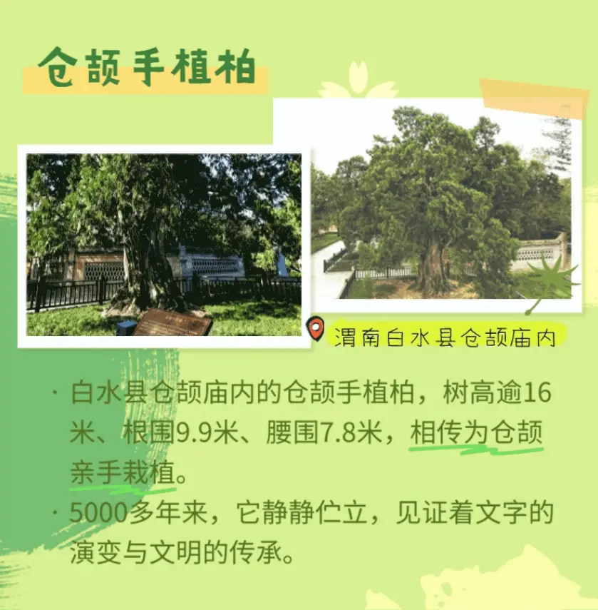 正在上传...