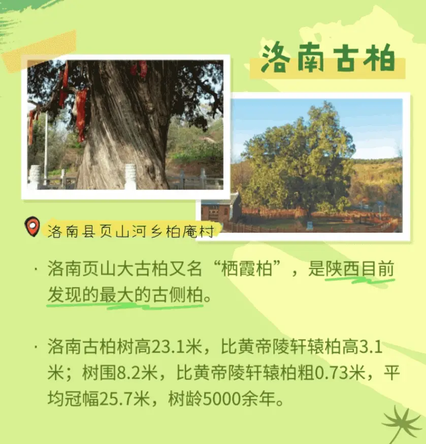 正在上传...