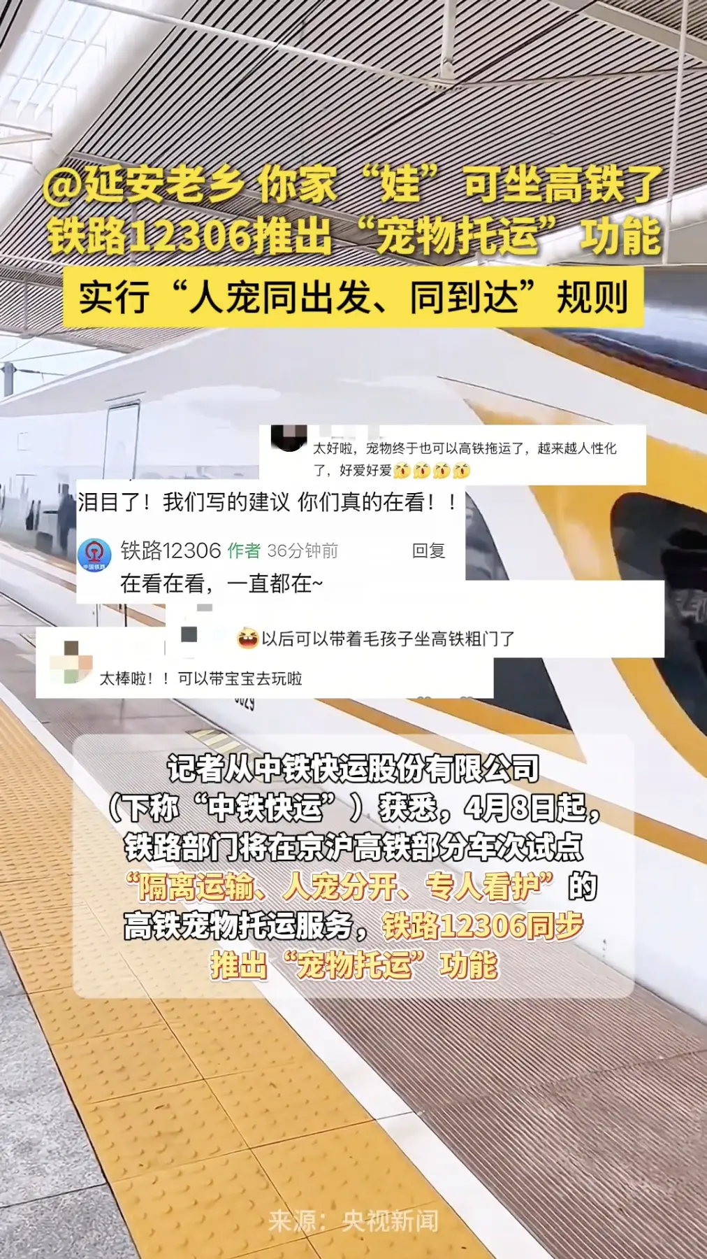 @延安老乡，你家“娃”可坐高铁了，铁路12306推出“宠物托运”功能