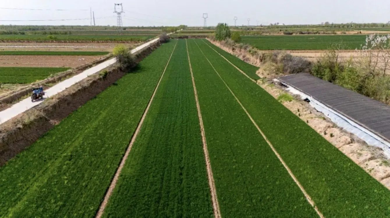 “千万工程”绘就渭南乡村振兴新画卷