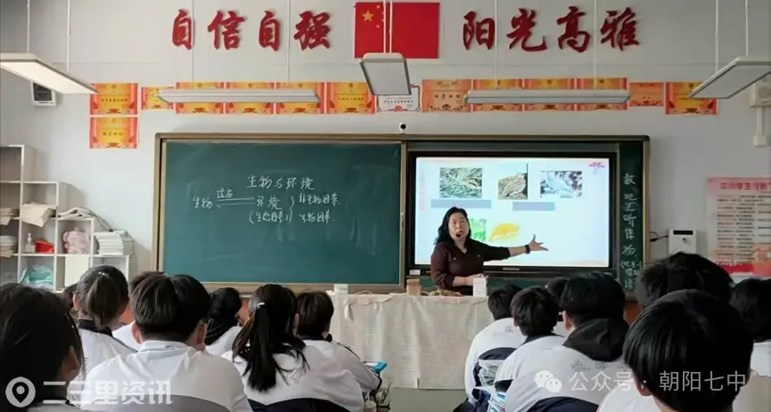 17459234495525727.png
