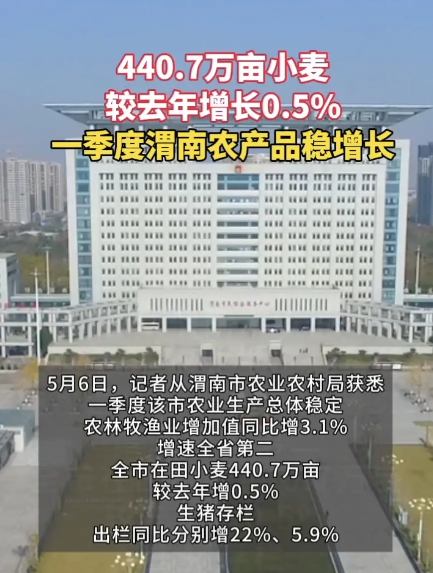 增速全省第二，渭南一季度农业提质增速成果显著