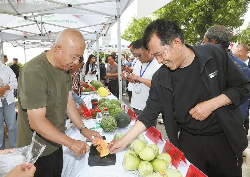 蒲城西甜瓜营销季甜蜜开启