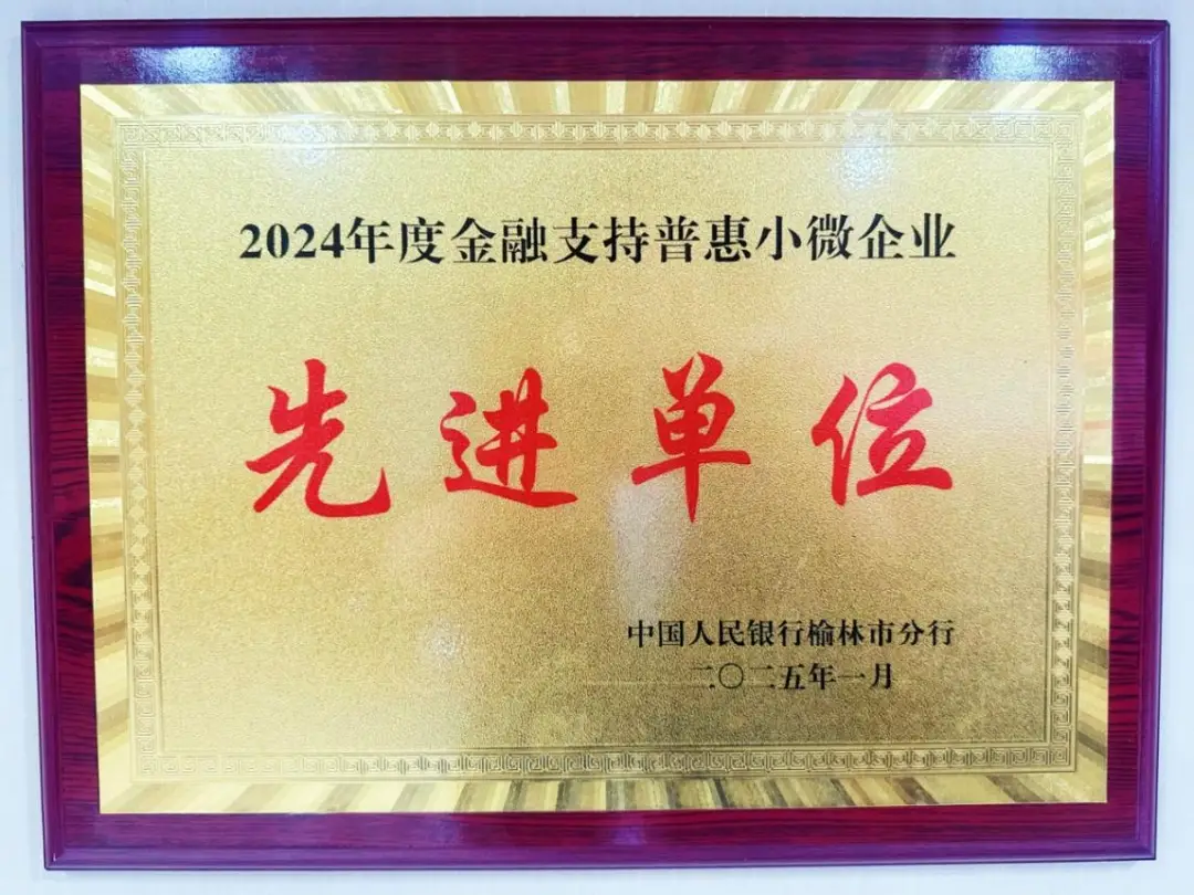 靖边农商银行荣获“2024年度金融支持普惠小微企业先进单位”称号