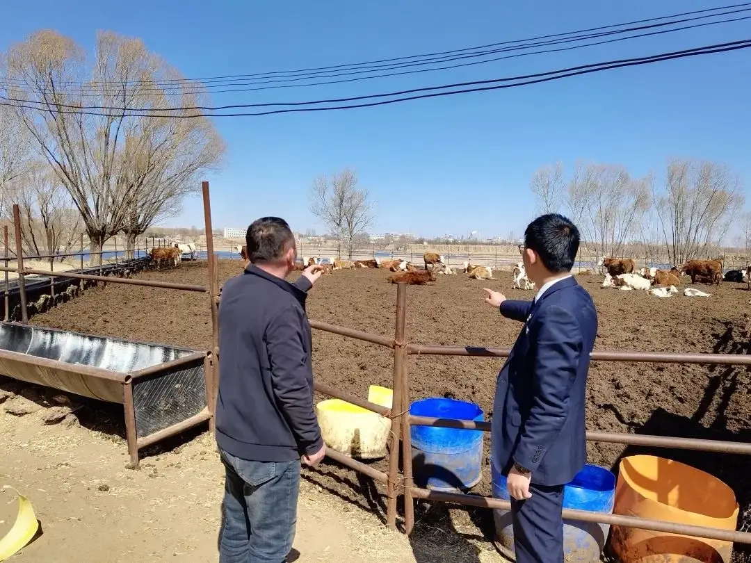 靖边农商银行：金融春风暖牧场乡村振兴添动能