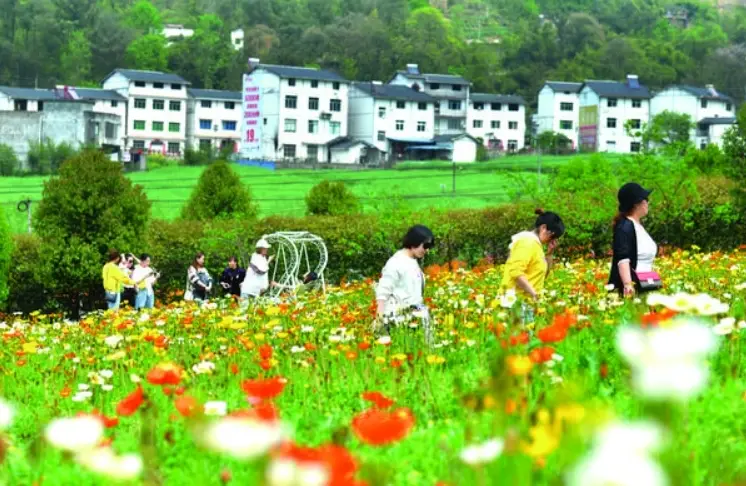 渭南市2条线路入选全省夏季乡村休闲旅游行精品线路