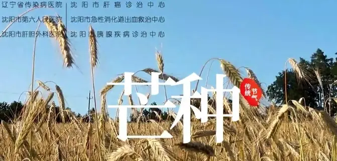 健康知识|芒种节气的中医养生