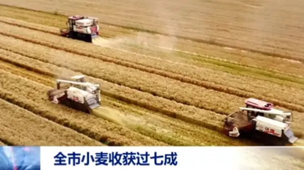 渭南全市已收获小麦328.09万亩，总体进度过七成