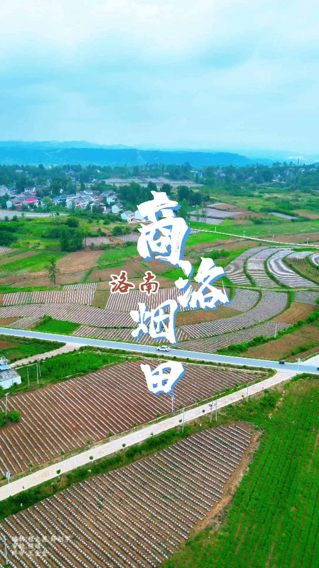 【飞阅陕西】横竖交织、有序分布，大地写诗行——洛南烟田美如画！
