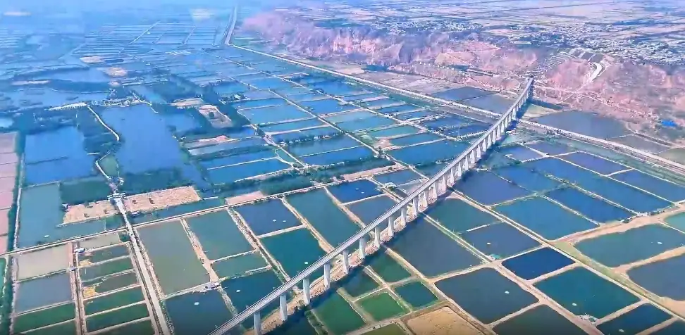 走进合阳，古莘大地奏响新时代田园牧歌