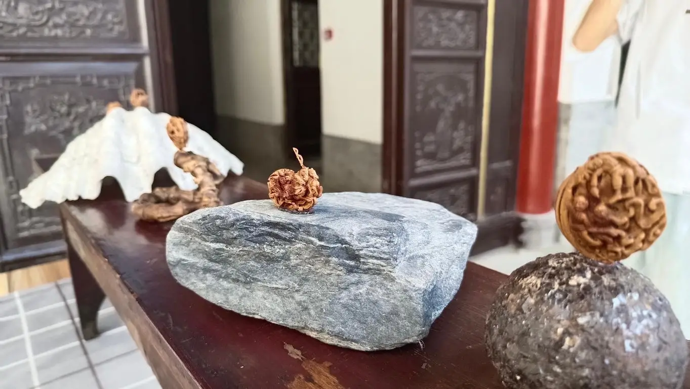 这样的核雕作品你见过吗？核雕传承人孙蒲：核雕虽小，却蕴藏大千世界