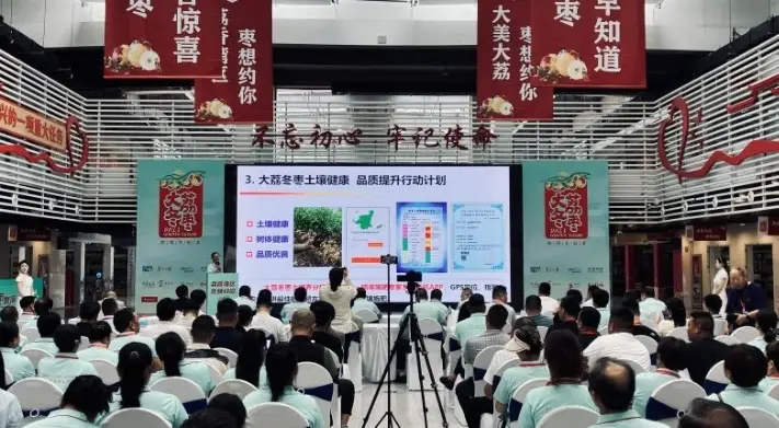 品牌价值67.34亿元！大荔冬枣走进粤港澳大湾区