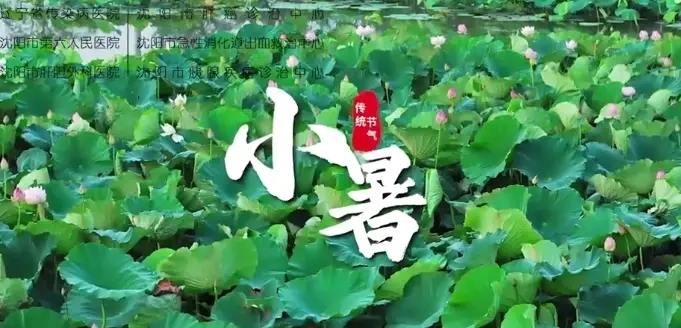 健康知识|小暑节气的中医养生